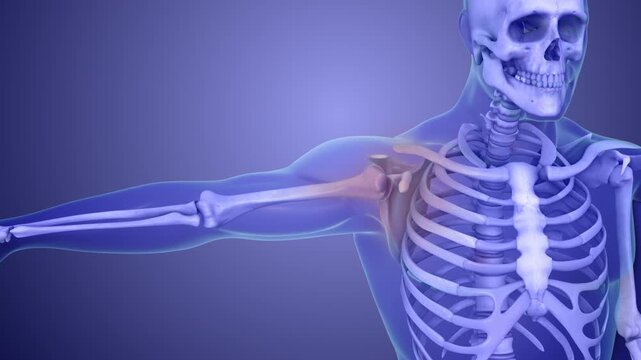 Shoulder Joint Pain Caused by Overuse Injury