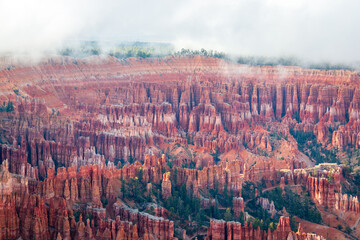 Bryce canyon national park in cloudy day