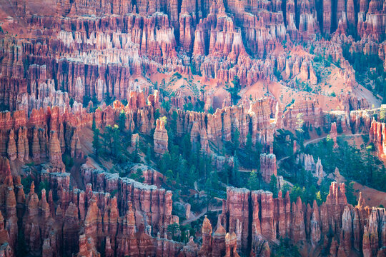 Bryce Canyon National Park  - Powered by Adobe