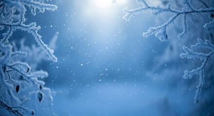 Magical winter forest scene with snow falling on frosted tree branches.