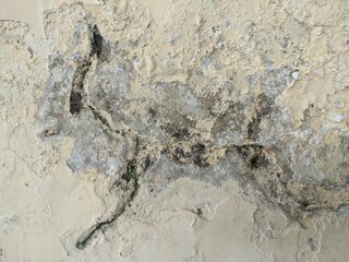 wall with damage paint