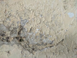 wall with damage paint