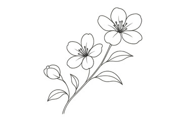 Fototapeta premium Hand drawn sketch of blooming flowers and leaves, a botanical plant illustration on transparent background