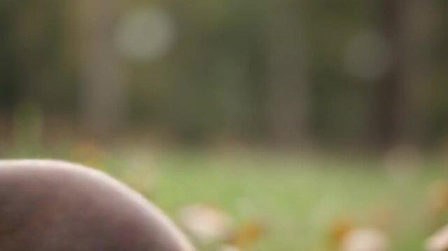 A cute groundhog stands alert in a green meadow. The curious wild animal looks around in a natural forest setting. AI generated animation with copy space