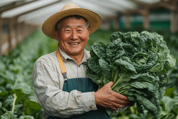Elderly farmer in straw hat proudly holds fresh harvest of leafy greens in greenhouse.