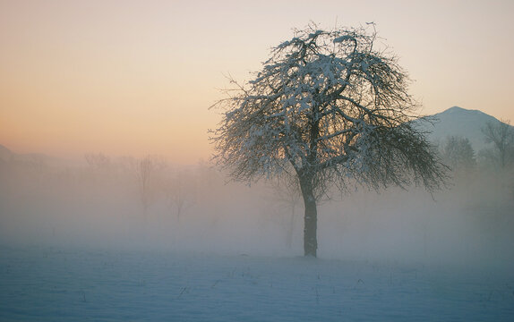 the sun rises at dawn and the fog disappears