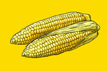 Hand-Drawn Sketch Illustration of Two Corn Cobs on a Cob Against a Vibrant Yellow Background
