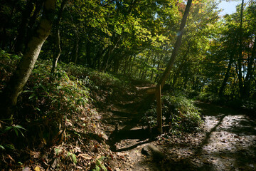 大菩薩嶺の登山口