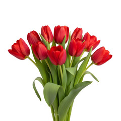 Obraz premium A Bouquet of Vibrant Red Tulips with Green Stems and Leaves Isolated on a Black Background