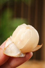 Peeled Dragon Fruit in Hand - Tropical Asian Fruit from Thailand Malaysia