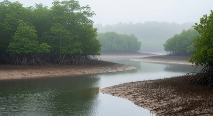 Misty mangrove forest with a winding river and exposed intricate roots at low tide, showcasing a tranquil tropical wetland ecosystem scene. illustration