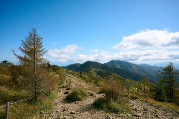 大菩薩嶺の登山道