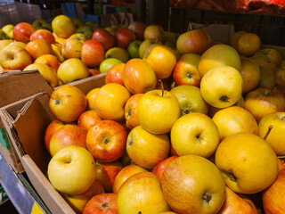 Yellow Apples in a cardboard box, Fresh apples in the store, Fruits at supermarket close-up