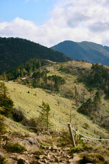 Fototapeta premium 大菩薩嶺の登山道