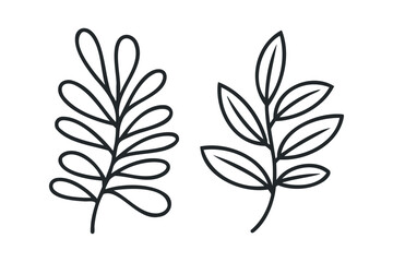 Two Hand Drawn Botanical Branch Silhouettes