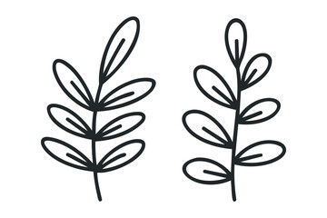 Fototapeta premium Minimalist Outline Twig and Leaves