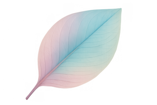 Pastel iridescent leaf in trending colors with gradient effect, creative design element on transparent background