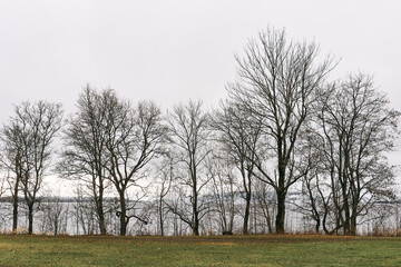 Obraz premium Photography from Domkirkeodden at Hamar by Lake Mjøsa, Norway, November 2025.