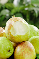 Fresh Korla Pears from Xinjiang China with Water Droplets - Premium Crisp Fragrant Fruit