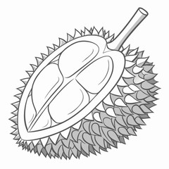 Stylized illustration of a durian fruit cut in half revealing its creamy segments and thorny rind