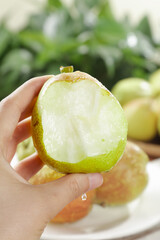 Fresh Korla Pear Half from Xinjiang China - Crisp Juicy White Flesh Organic Fruit in Hand