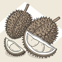 Hand drawn illustration of whole durian fruits and slices on a light background with subtle geometric pattern