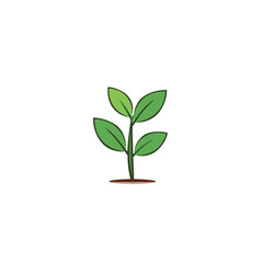 Cute Plant Design Very Cool