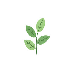 Cute Plant Design Very Cool