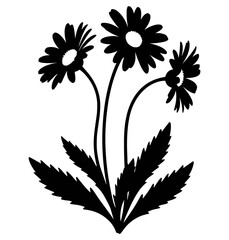 Flower silhouette illustration in black and white line art showing three blooming daisies with curved stems and serrated leaves
