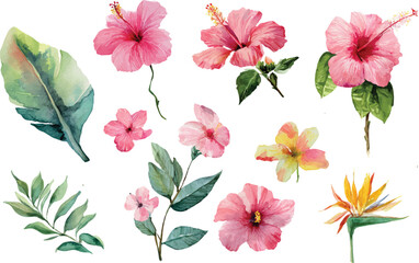 set of watercolor flowers
