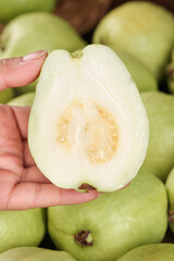 Fresh Guava Fruit Cut in Half Showing Interior - Guangxi Tropical Produce