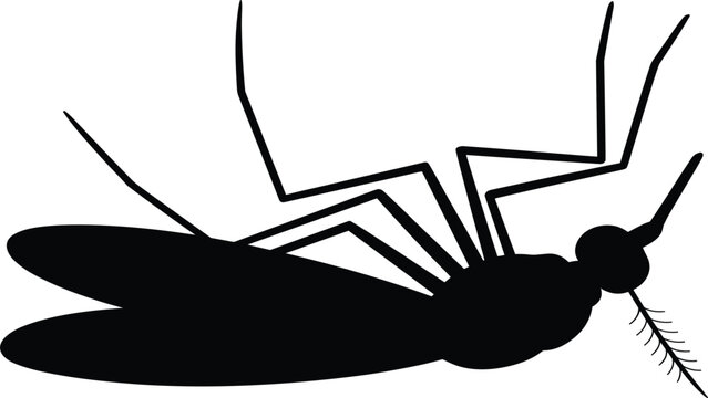Black Silhouette of a Dead Mosquito on its Back, Symbolizing Pest Control, Insecticide Effectiveness, Disease Prevention, and Extermination