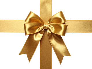  Metallic Gold Gift Ribbon with Elegant Looped Bow Wide Angle Transparent 