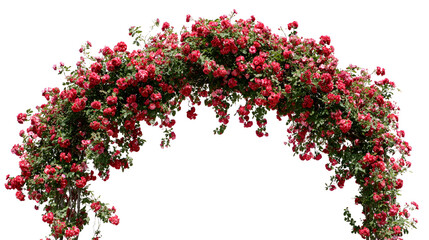 Abundant archway covered in lush red roses and greenery against a dark background