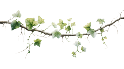 ivy branch