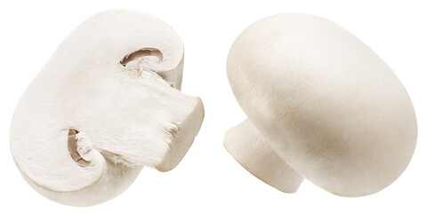 white button mushrooms isolated