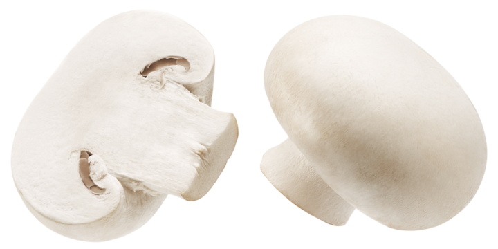 white button mushrooms isolated