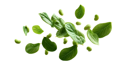 Fresh green spinach leaves and seeds floating in the air against a black background