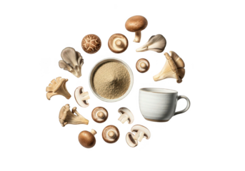 Delightful mushroom broth with fresh shiitake for healthy, cozy recipes