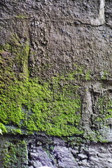 Mossy walls