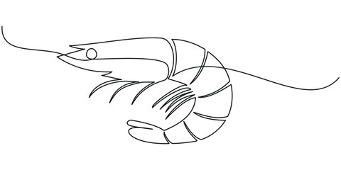 Continuous line drawing of fresh shrimp for seafood logo identity, Continuous one line drawing of shrimp. Hand drawn one line vector. Editable stroke