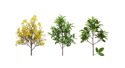 Three miniature trees (yellow blossoms, green foliage, single leaf) in ultra-clean studio, soft light on transparent background, concept of botanical precision and commercial display
