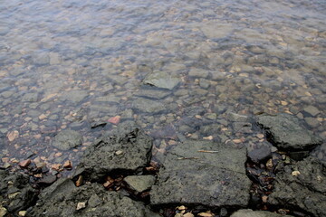 stones in the water , river bank,