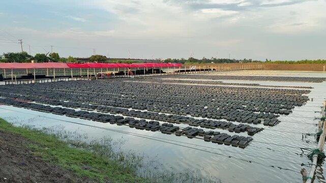 Crab Hatchery Infrastructure in Cox&rsquo;s Bazar, Bangladesh. Crab farming