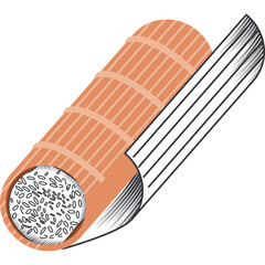 Brown Sushi Roll With Orange Seaweed And White Rice On Transparent Background