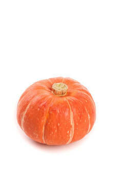Fresh Orange Pumpkin with Golden Stem Isolated on White Background for Autumn Halloween Harvest Decoration