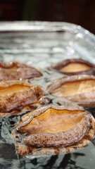 Fresh Raw Abalone Shells in Water - Premium Seafood Ingredients Closeup