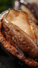 Fresh Raw Abalone Shellfish - Premium Seafood Ingredient for Gourmet Cooking