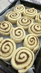 Fototapeta premium Fresh Homemade Cinnamon Rolls – Raw Dough Swirls on Baking Tray. Close-up view of freshly prepared cinnamon rolls arranged on a baking tray, showing raw dough swirls filled with cinnamon sugar.