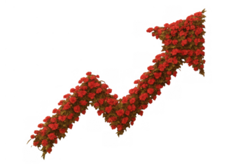 Floral arrow shaped by red blossoms and green foliage indicating upward trend, business growth, financial increase on transparent background